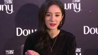 范冰冰和杨幂最新爆料,揭秘娱乐圈幕后真相 第3张 范冰冰和杨幂最新爆料,揭秘娱乐圈幕后真相 第3张