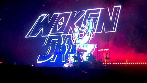 万物复苏爆料视频,揭秘春季生机勃勃的奥秘 第3张 万物复苏爆料视频,揭秘春季生机勃勃的奥秘 第3张